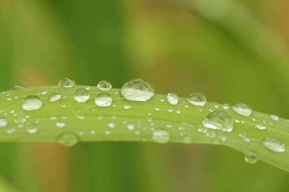 3-10-13 misc pics 105-xl