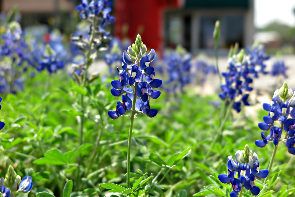 "                               "